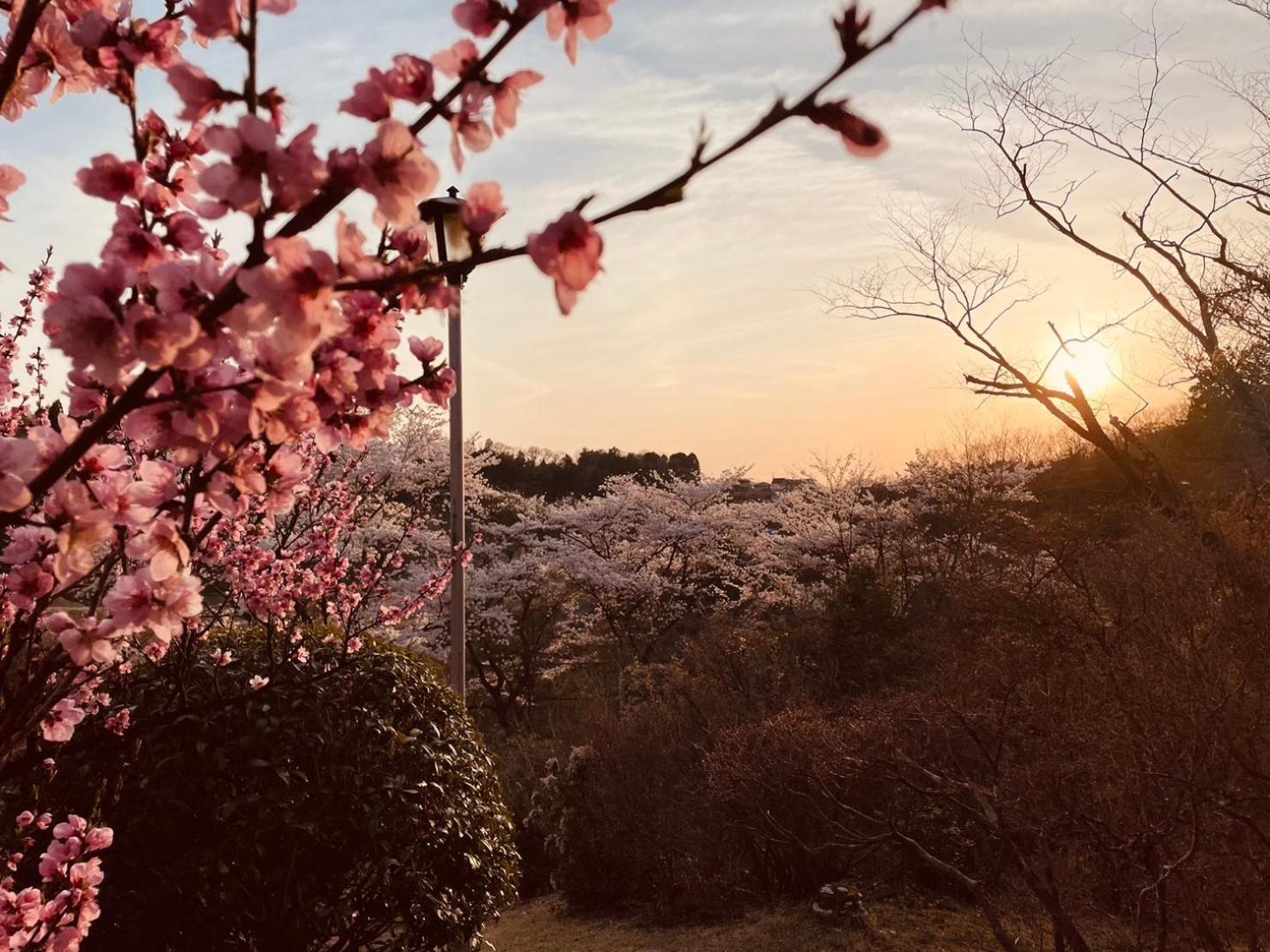 Granping ng が mi no Du Hotel Nakatsugawa Bagian luar foto