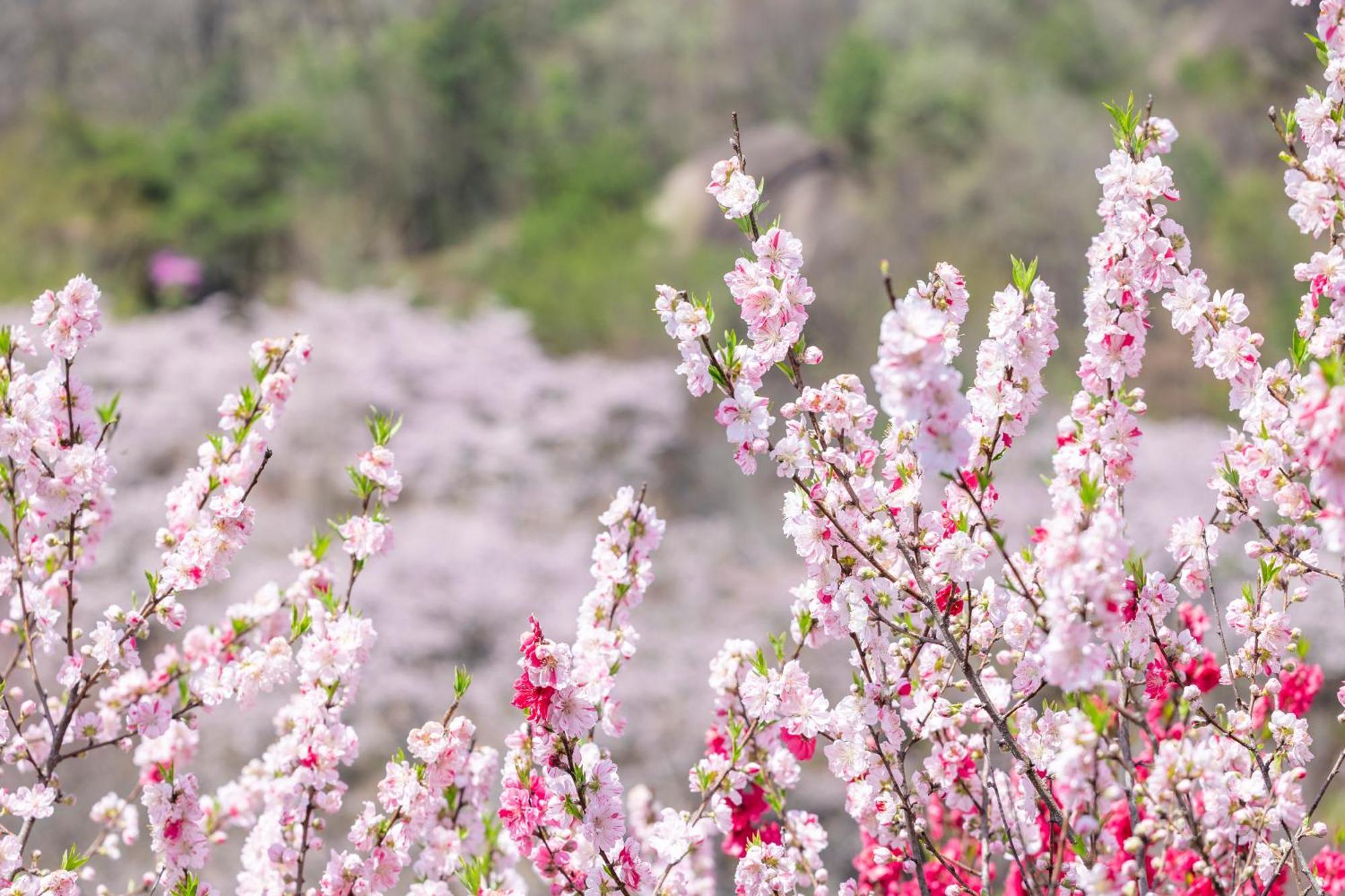 Granping ng が mi no Du Hotel Nakatsugawa Bagian luar foto